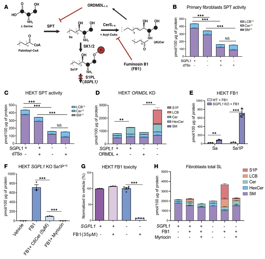 SPT regulation via the ORMDL/Cer axis prevents toxic S1P accumulation in...