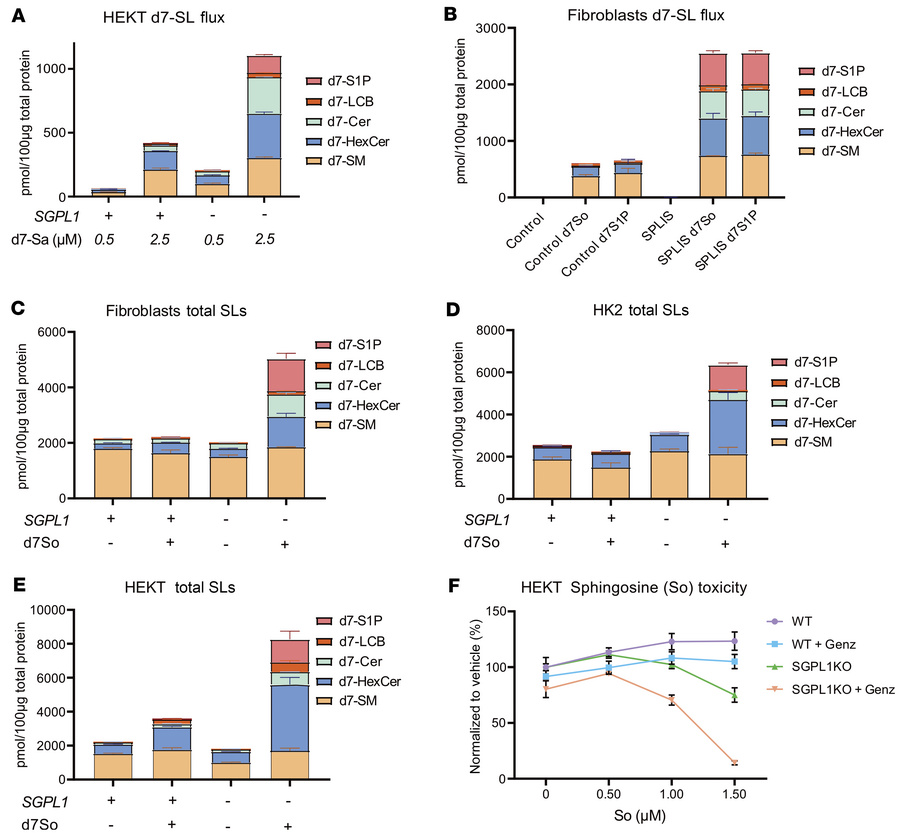 Synthesis of higher-order SLs acts as an “escape” mechanism to prevent t...