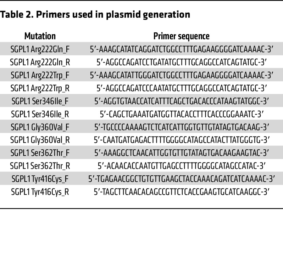 Primers used in plasmid generation