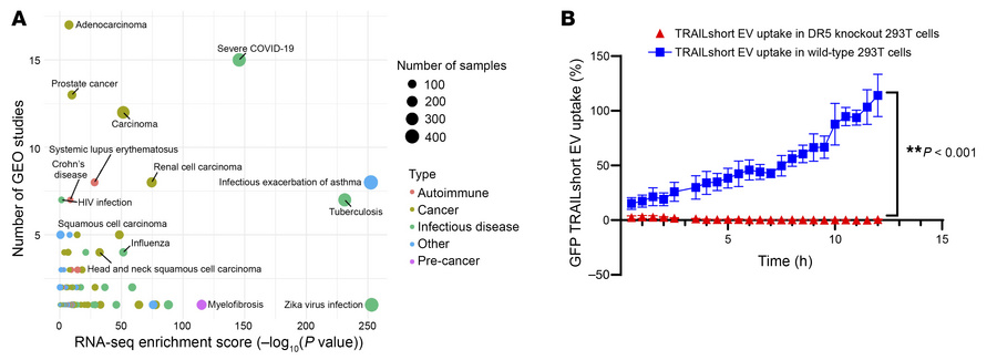 TRAILshort expression and DR5-dependent uptake of TRAILshort-containing ...