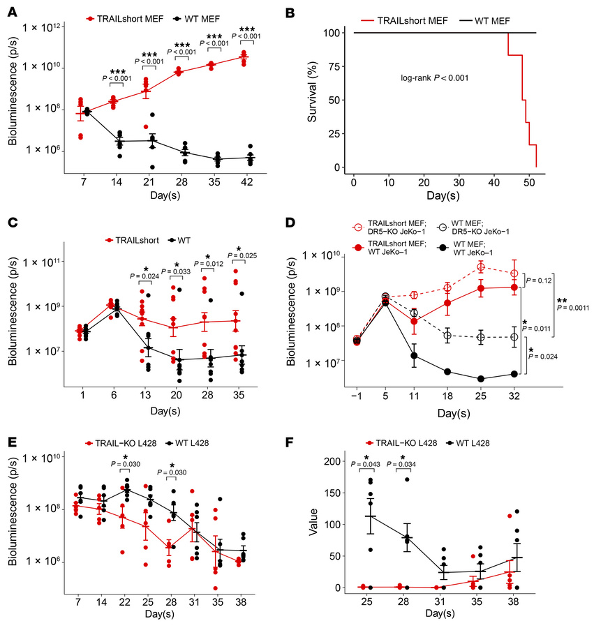 Effect of TRAILshort in vivo.
(A) Luciferase-expressing immortalized WT ...