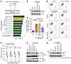 TRAILshort induces changes in the TCR phosphoproteome and inhibits proximal