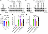 SHP-1 inhibition reverses TRAILshort-mediated suppression of T cell functio