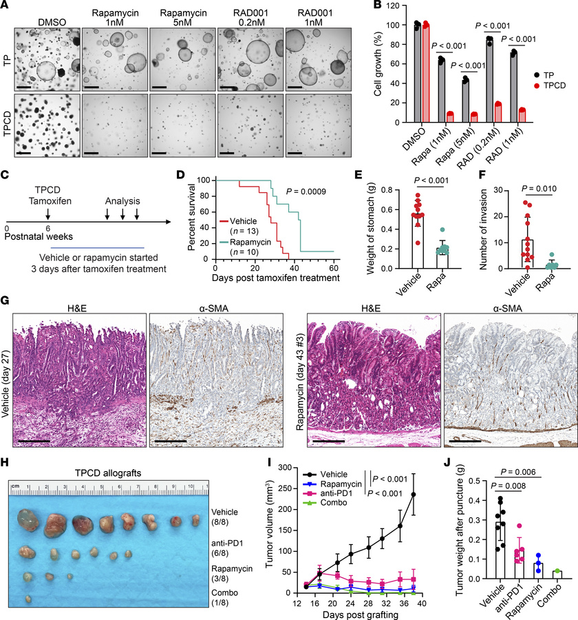Combination of rapamycin and anti–PD-1 suppresses growth of TPCD cells i...