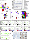 scRNA-seq reveals impaired differentiation after Kmt2c/d loss.