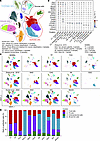 Integrated scRNA-seq analyses reveal the correlation between GEMMs and huma