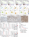 Kmt2c/d loss enhances MHC-I expression and antigen presentation.