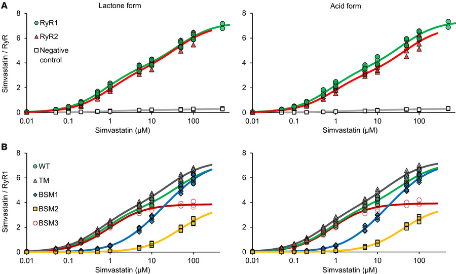 Simvastatin dose response of microsomal RyR channels in radioligand bind...