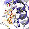 Side chain conformational change of W4792 exposes a hydrophobic pocket betw