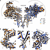 RyR1 pore gating independent of cytosolic shell motion in the presence of s