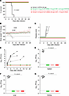 Assessment of MARV GP and VLP mRNA vaccines in guinea pig study 1: protecti
