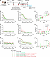 Assessment of MARV GP and VLP mRNA vaccines in guinea pig study 2: immunoge