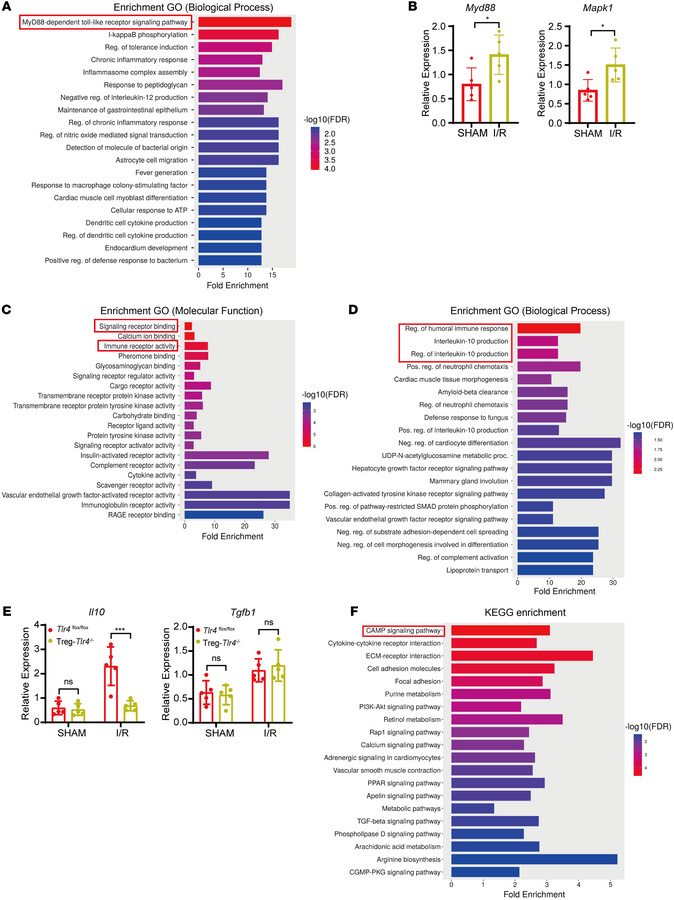 
Tlr4 deficiency in Tregs impairs Il10 production by disrupting the Myd8...