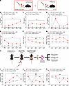 Evaluating cooccurrence of CRS and Neutropenia in IL-2Ra KO mice.