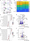 Utilizing single cell–sequencing to identify phenotypic differences in bone