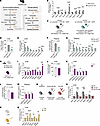 The liver is responsible for increased circulating levels of CERs in cachex