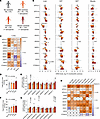 Hepatic expression of CER synthesis enzymes and CER content are positively