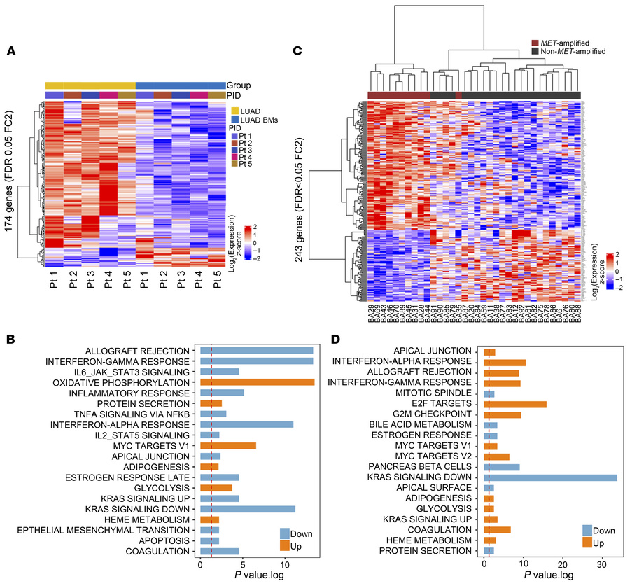 LUAD BMs have a distinct transcriptional profile compared with matched p...