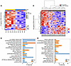 LUAD BMs have a distinct transcriptional profile compared with matched prim