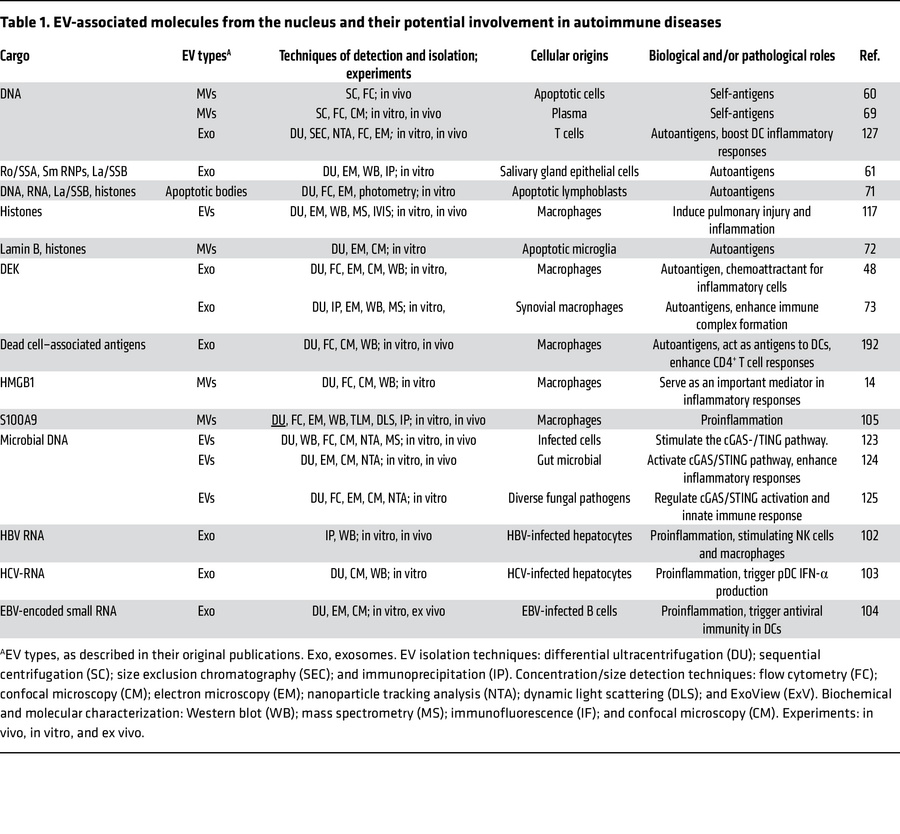 EV-associated molecules from the nucleus and their potential involvement...