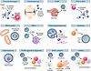 EVs with cytoplasmic cargo molecules in autoimmune diseases.