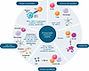EVs with cell membrane and extracellular cargo molecules in autoimmune dise