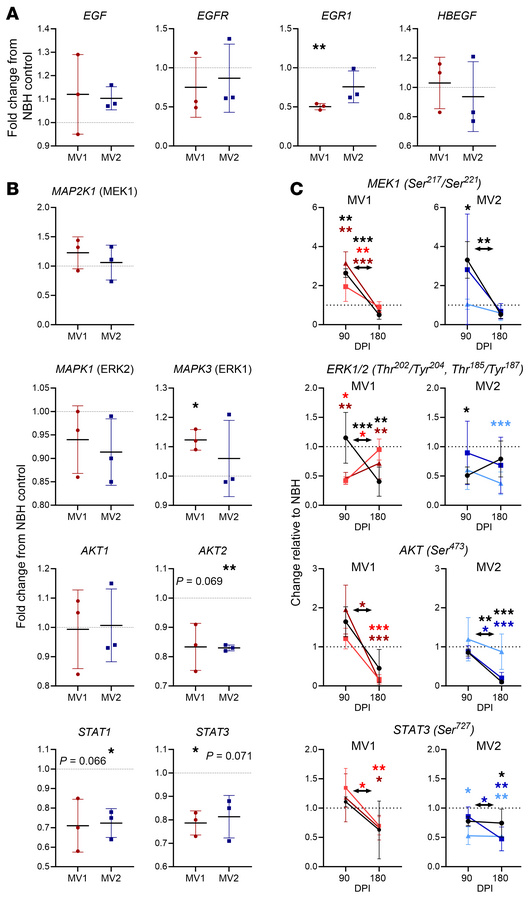 Changes in MAPK, AKT, and STAT signaling pathways are present during inf...