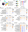 Single cell sequencing reveals changes in canonical pathways at 120 dpi.