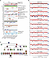 LNCaP substrains exhibit recurrent and unique genomic alterations.