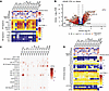 Genes differentially expressed between LNCaP substrains include AR splice v