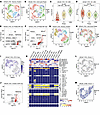 Y chromosome and transcriptional heterogeneity within the LNCaP_FGC line.