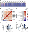 AR cistromes vary across LNCaP substrains.