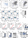 LNCaP substrains exhibit differential drivers and dependencies relevant for