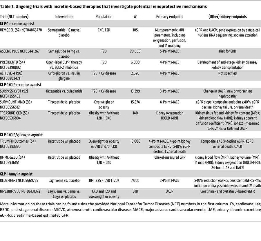 Ongoing trials with incretin-based therapies that investigate potential ...