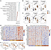 Altered biological pathways in the crypt regions of untreated CeD.