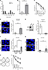 Repair switch to PARP1-EJ in ERG-overexpressing cells.