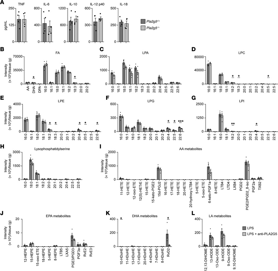 PLA2G5 does not impact cytokine and lipid metabolite levels in the colon...