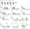 PLA2G5 does not impact cytokine and lipid metabolite levels in the colon du