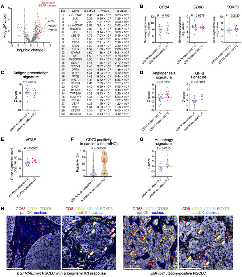 
EGFR-mutation–associated gene expression and spatial immune features.
(...