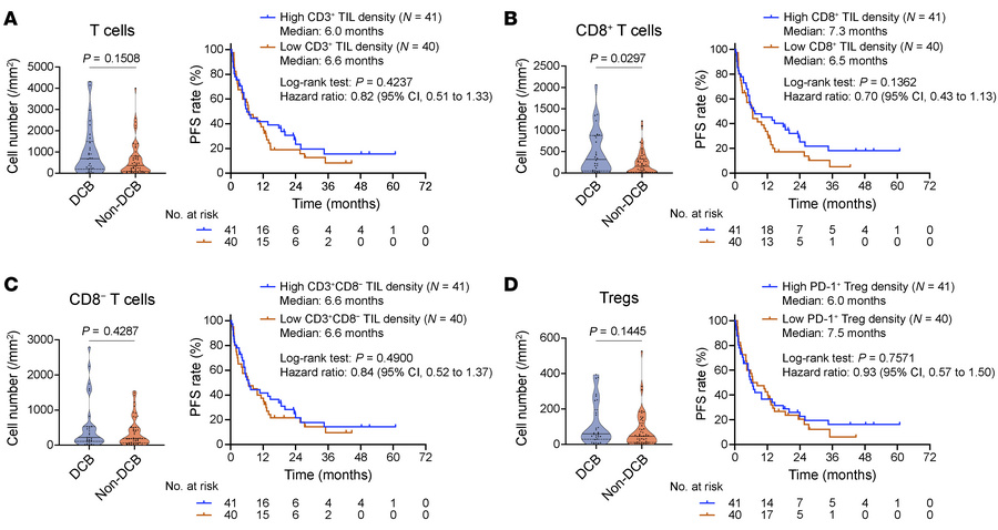 Association of intratumoral T cell density with ICI efficacy.
(A–C) Dens...