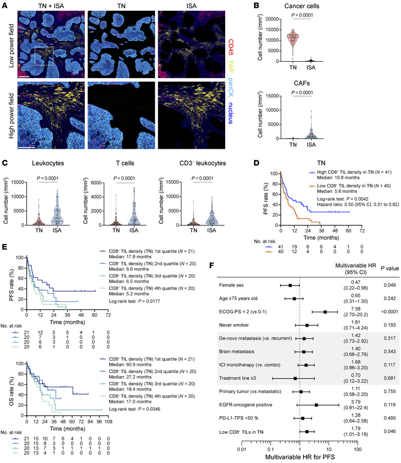 Association of spatial localization of tumor-infiltrating CD8+ T cells w...