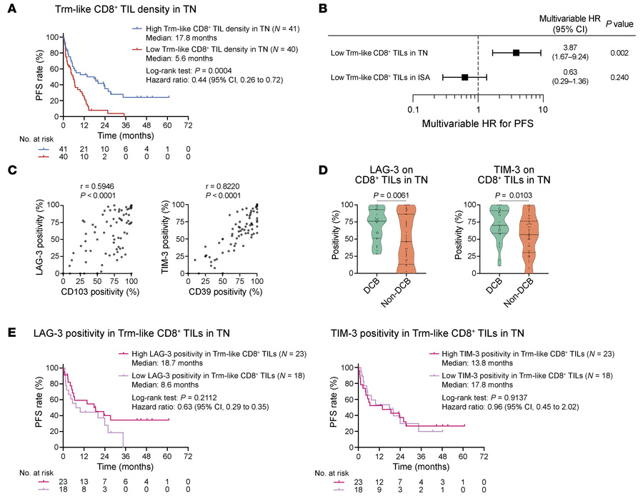 Association of CD8+ T cell features within TN with ICI efficacy.
(A) KM ...