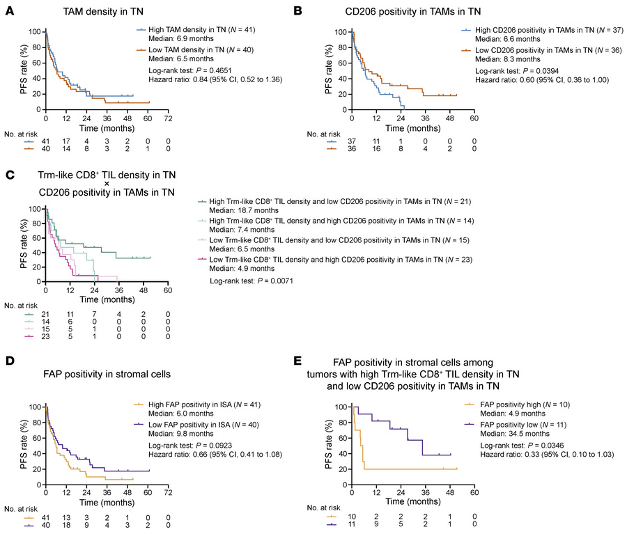 Association of TAMs and CAFs with ICI efficacy.
(A) KM curves for PFS of...