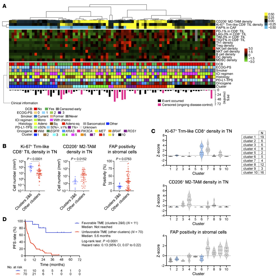 Association of intratumoral immune–stromal contexture with ICI efficacy....