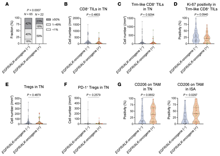 TME features of EGFR/ALK-oncogene+ NSCLC.
(A) PD-L1 TPS compared between...