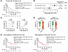Association of CD8+ T cell features within TN with ICI efficacy.