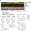 Association of intratumoral immune–stromal contexture with ICI efficacy.