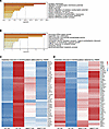 VE-cadherin Y685F-mediated reversal of retinal pathology engages neurovascu