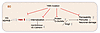 Suppressing VE-cadherin Y685 phosphorylation inhibits development of diabet