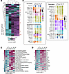 Phosphoproteomics reveals mechanosensitive signaling pathways.